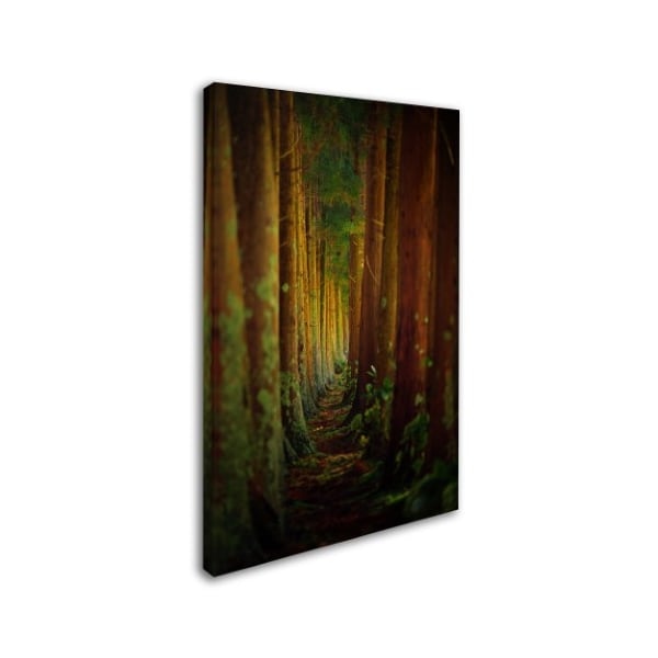 Rui Caria 'Forest' Canvas Art,12x19